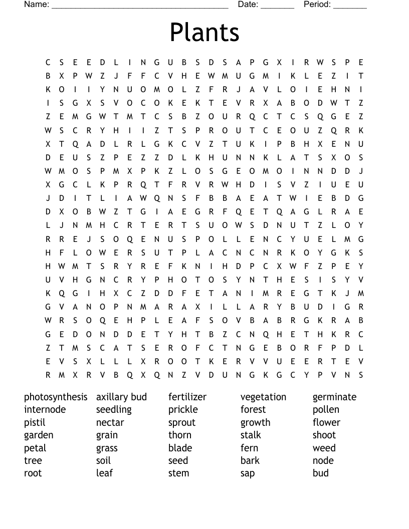 Plants Word Search