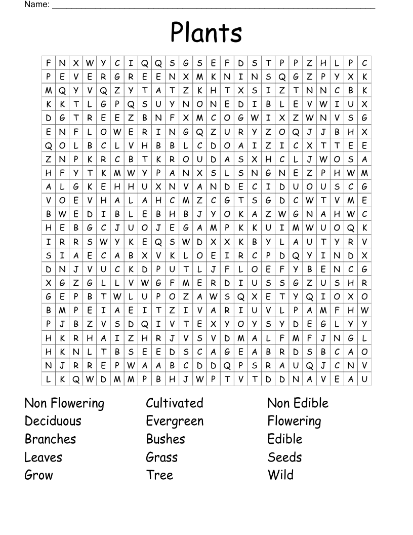 Plants Word Search