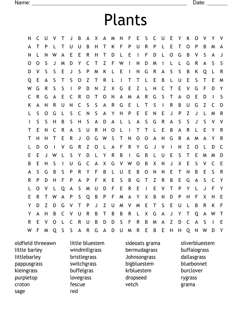 Plants Word Search
