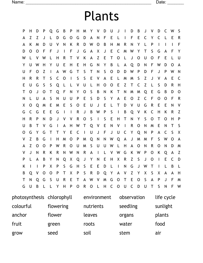 Plants Word Search