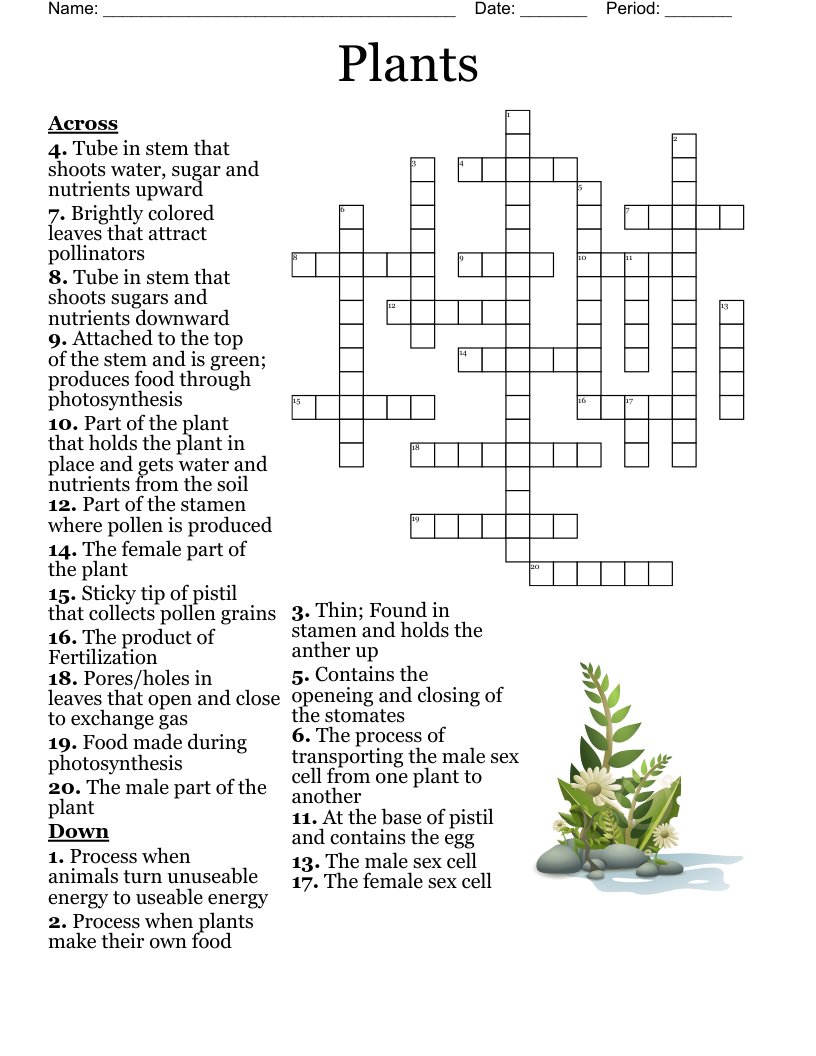 Plants Crossword