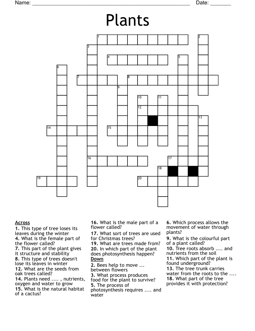 Plants Crossword
