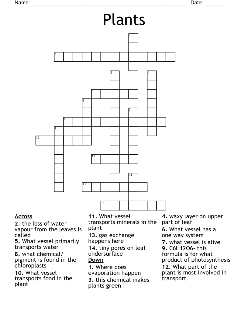Plants Crossword
