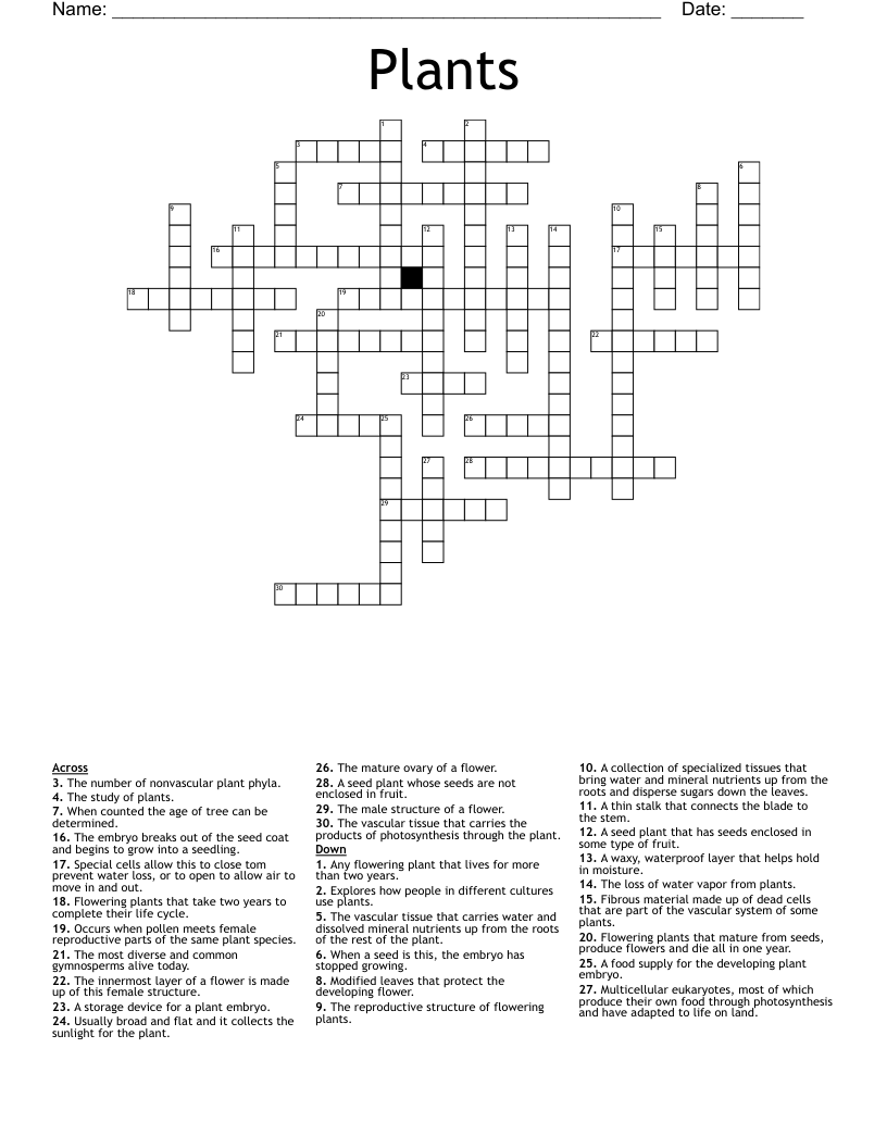 Plants Crossword