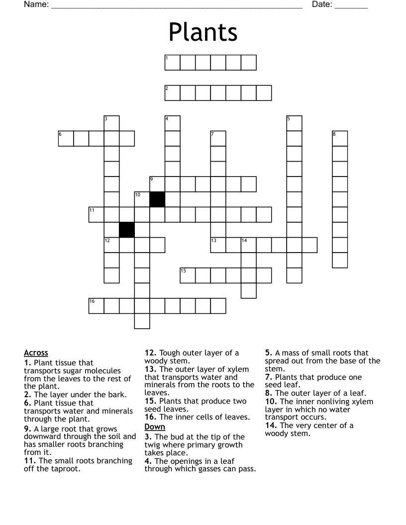 Plants Crossword