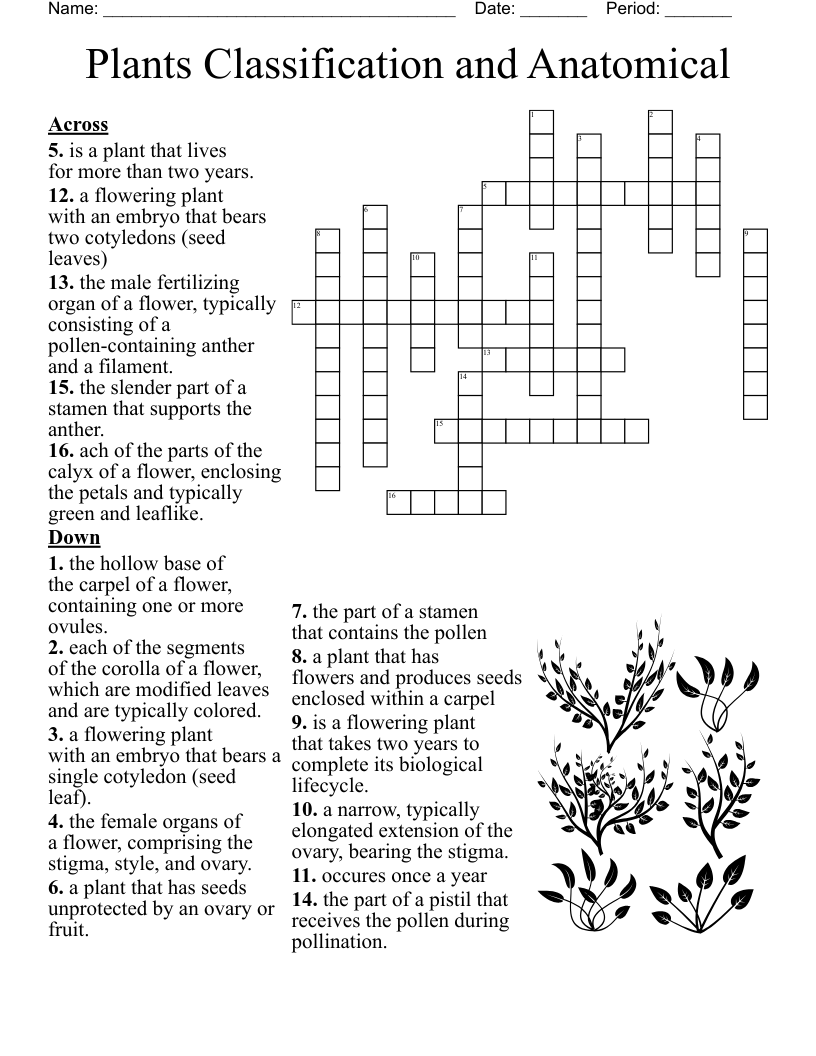 Plants Classification and Anatomical Crossword