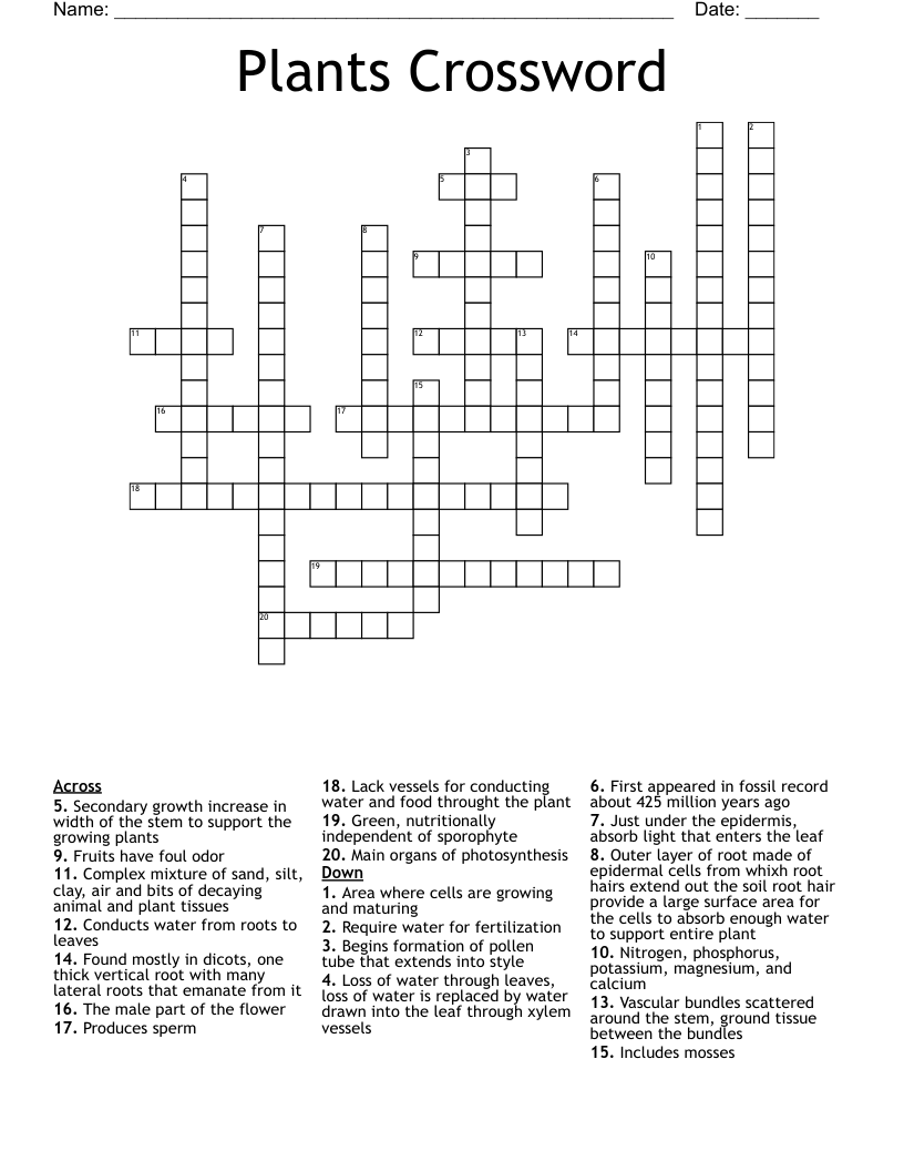 Plants Crossword