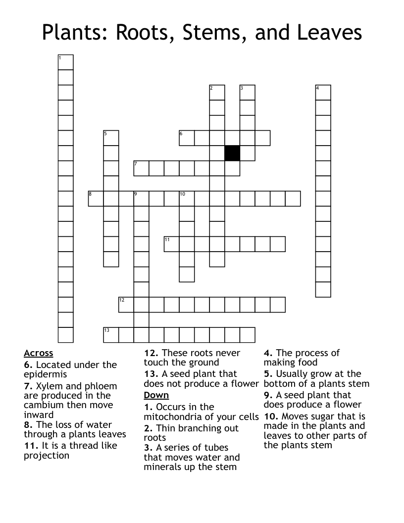 Plants: Roots, Stems, and Leaves Crossword