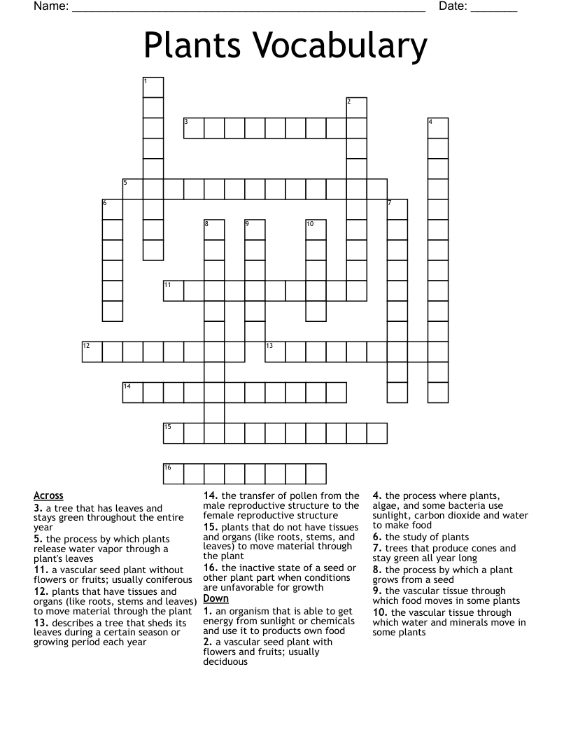 Plants Vocabulary Crossword