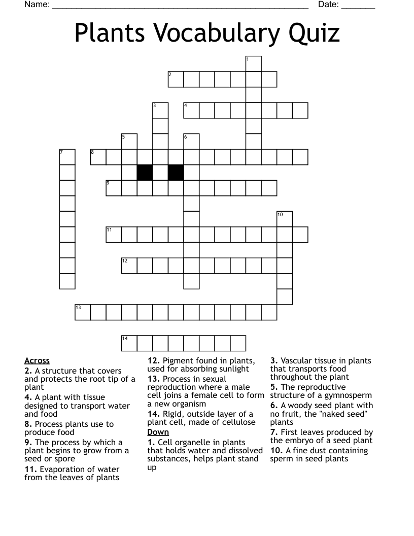 Plants Vocabulary Quiz Crossword