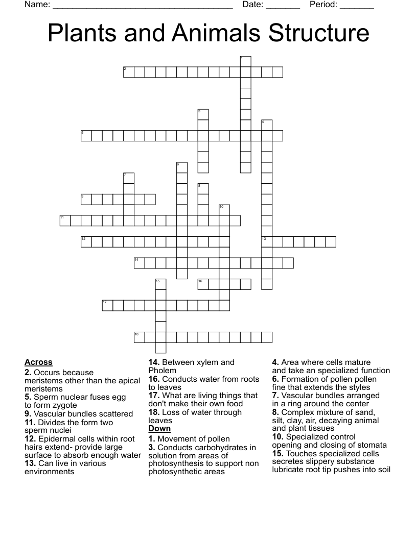 Plants and Animals Structure  Crossword