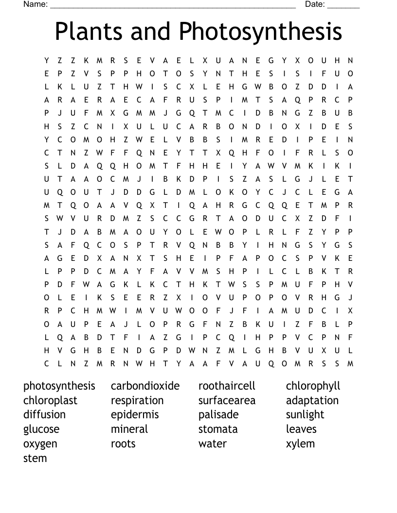 Plants and Photosynthesis Word Search