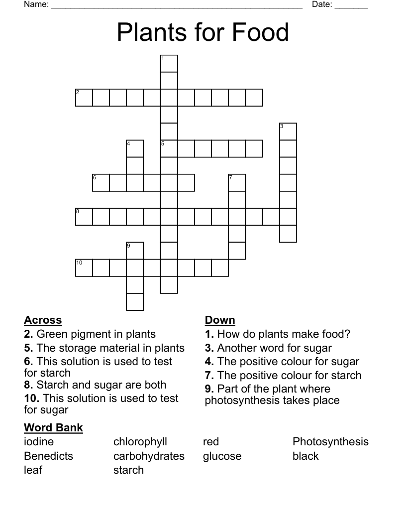 Plants for Food Crossword
