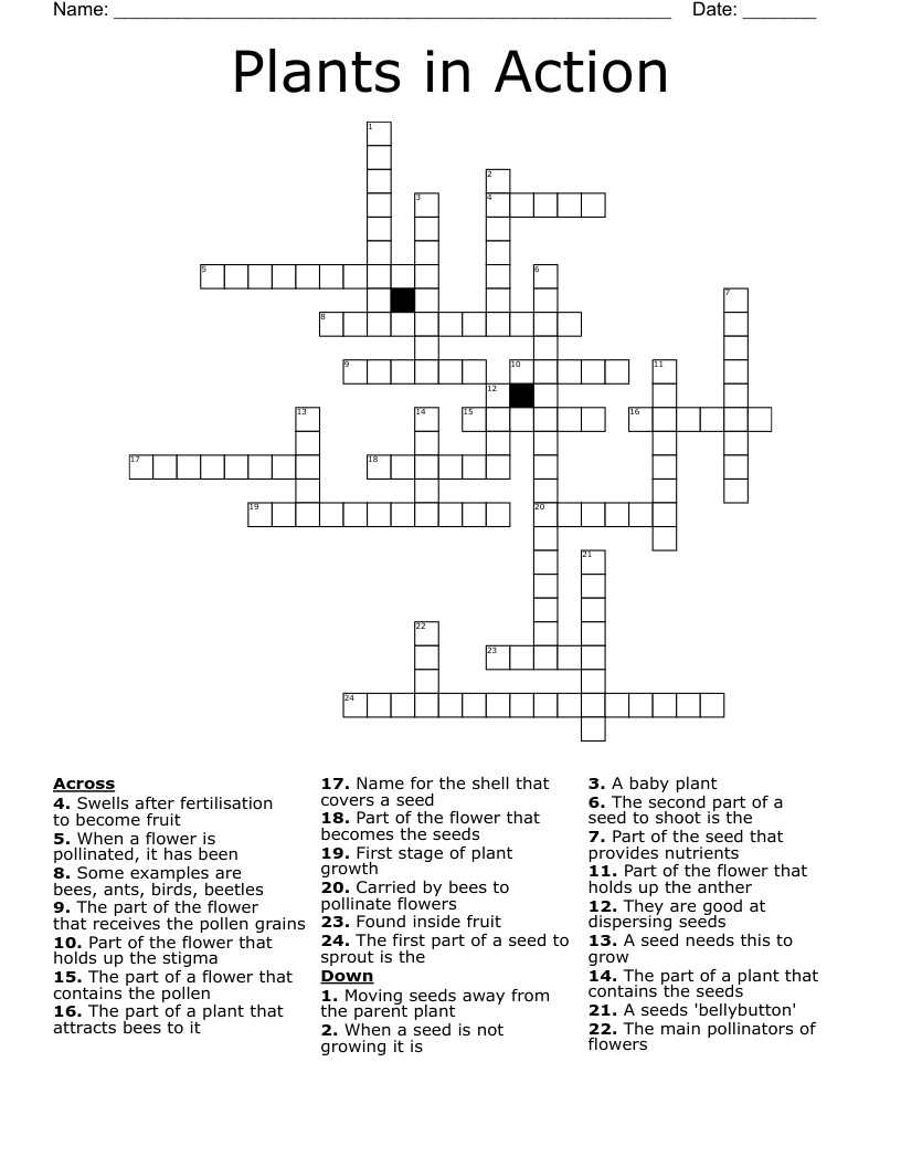 Plants in Action Crossword
