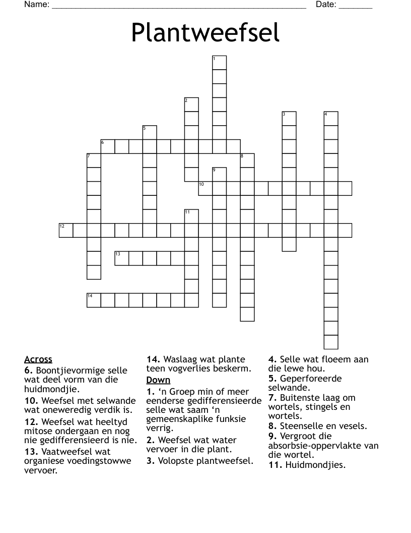 Plantweefsel Crossword