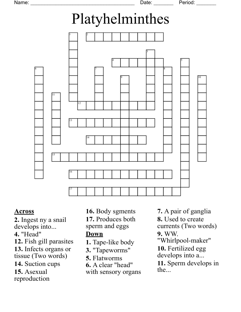 Platyhelminthes Crossword