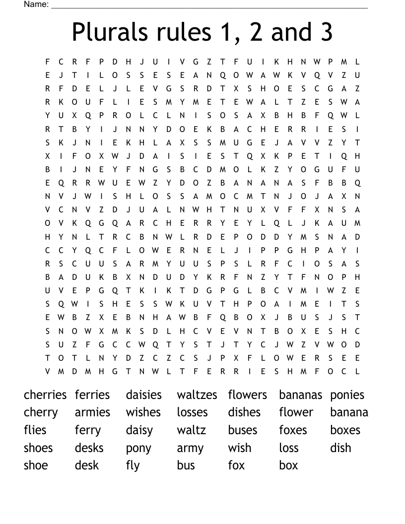 Plurals rules 1, 2 and 3 Word Search