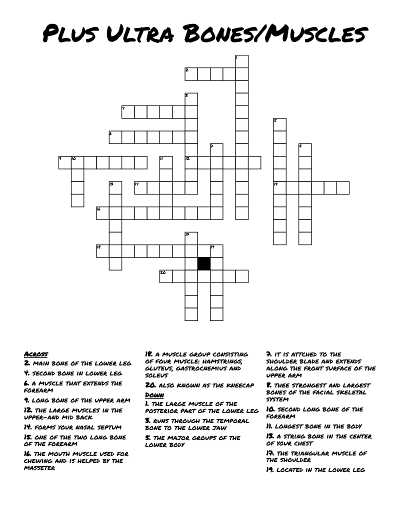 Plus Ultra Bones/Muscles Crossword