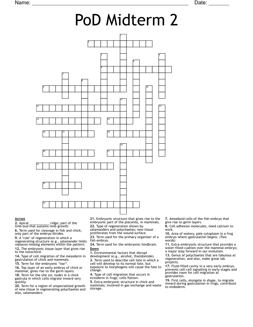 PoD Midterm 2 Crossword