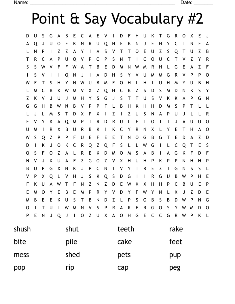 Point & Say Vocabulary #2 Word Search