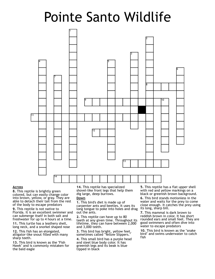 Pointe Santo Wildlife Crossword