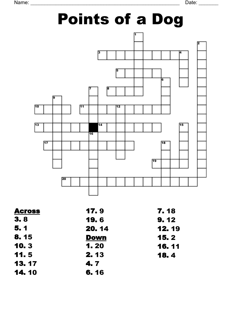 Points of a Dog Crossword