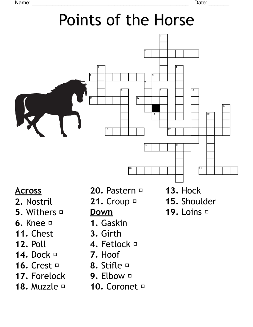 Points of the Horse Crossword