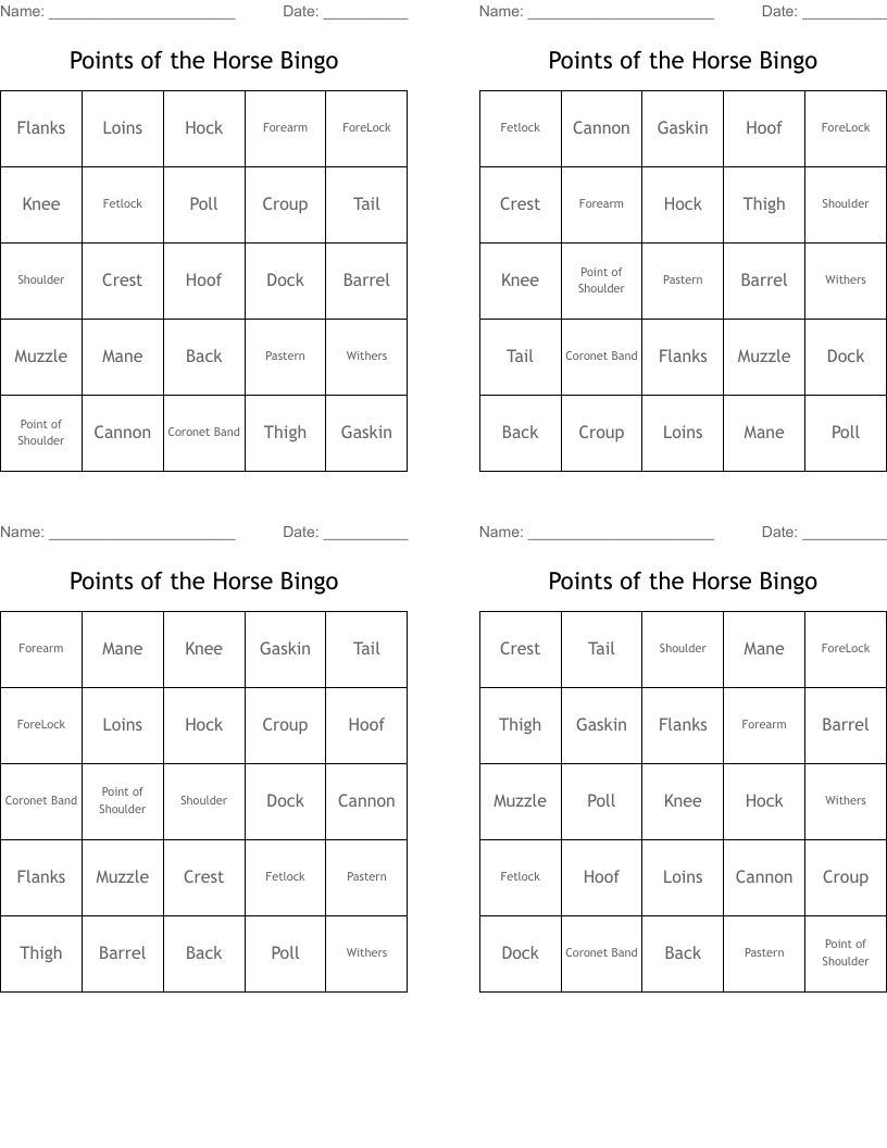 Points of the Horse Bingo 