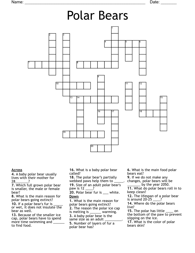 Polar Bears Crossword