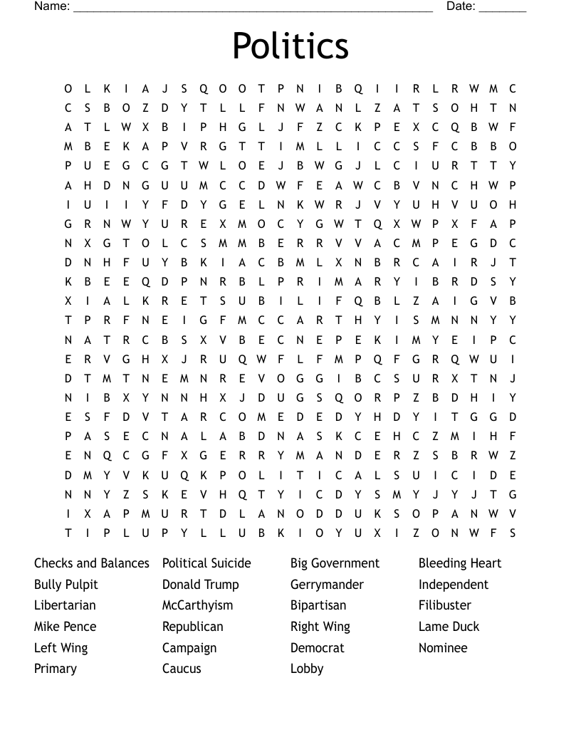 Politics Word Search