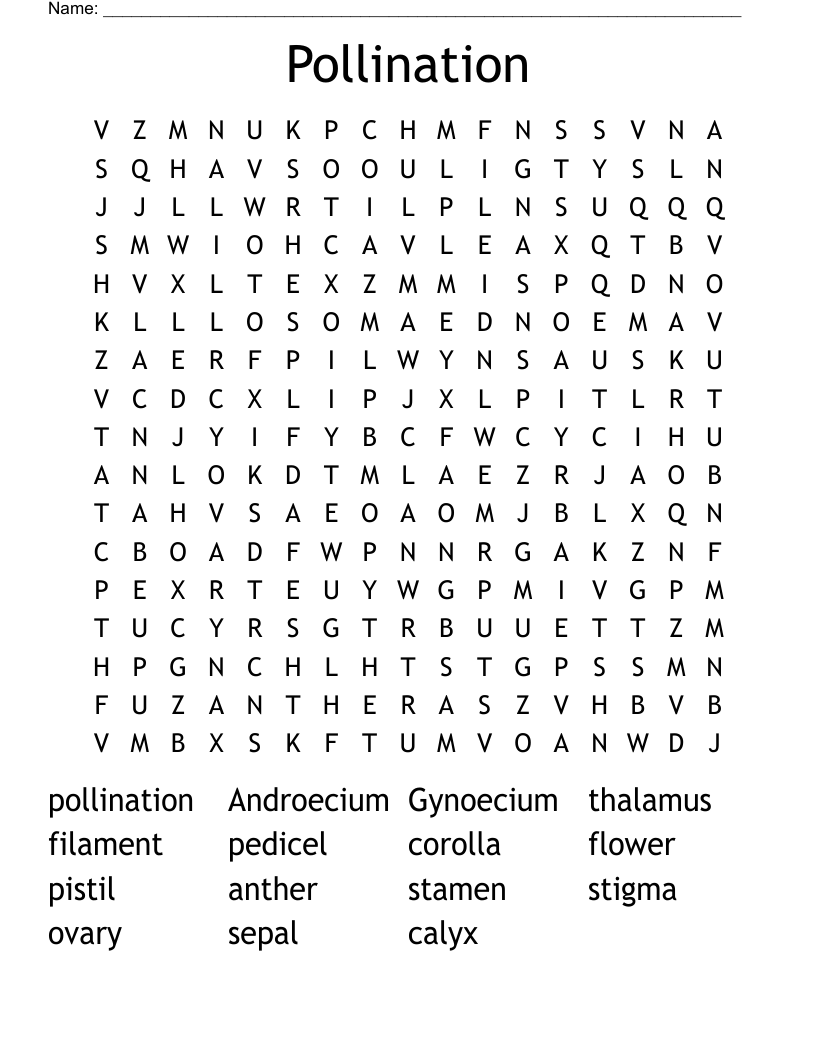 Pollination Word Search