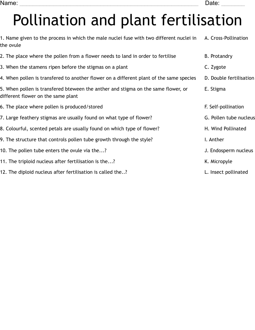 Pollination and plant fertilisation Worksheet