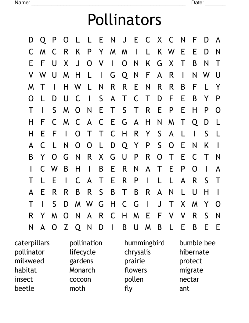 Pollinators Word Search