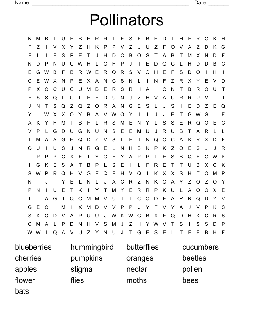 Pollinators Word Search