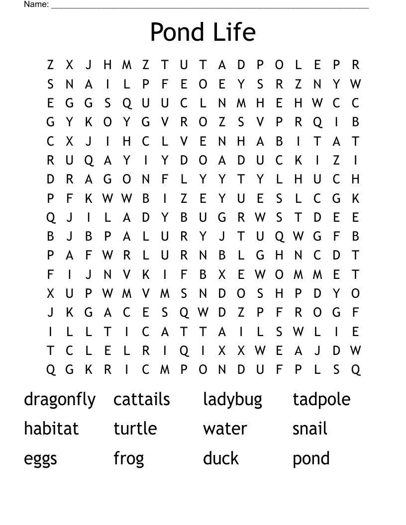Pond Life Word Search