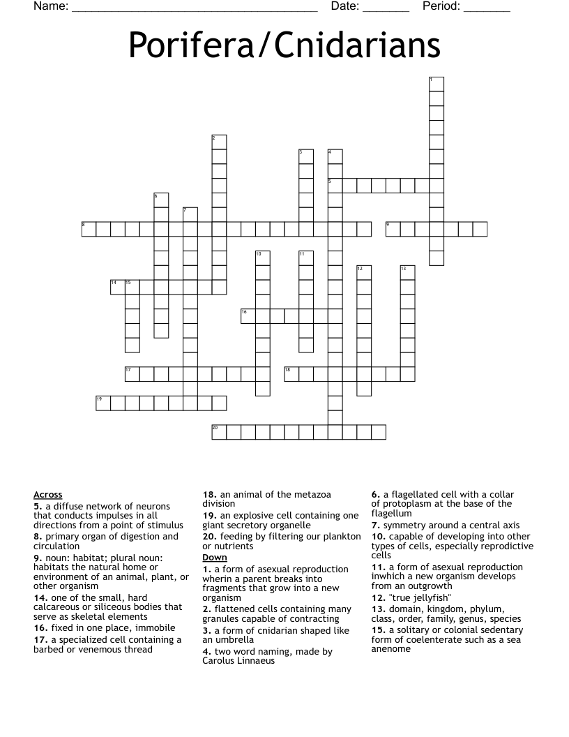 Porifera/Cnidarians Crossword
