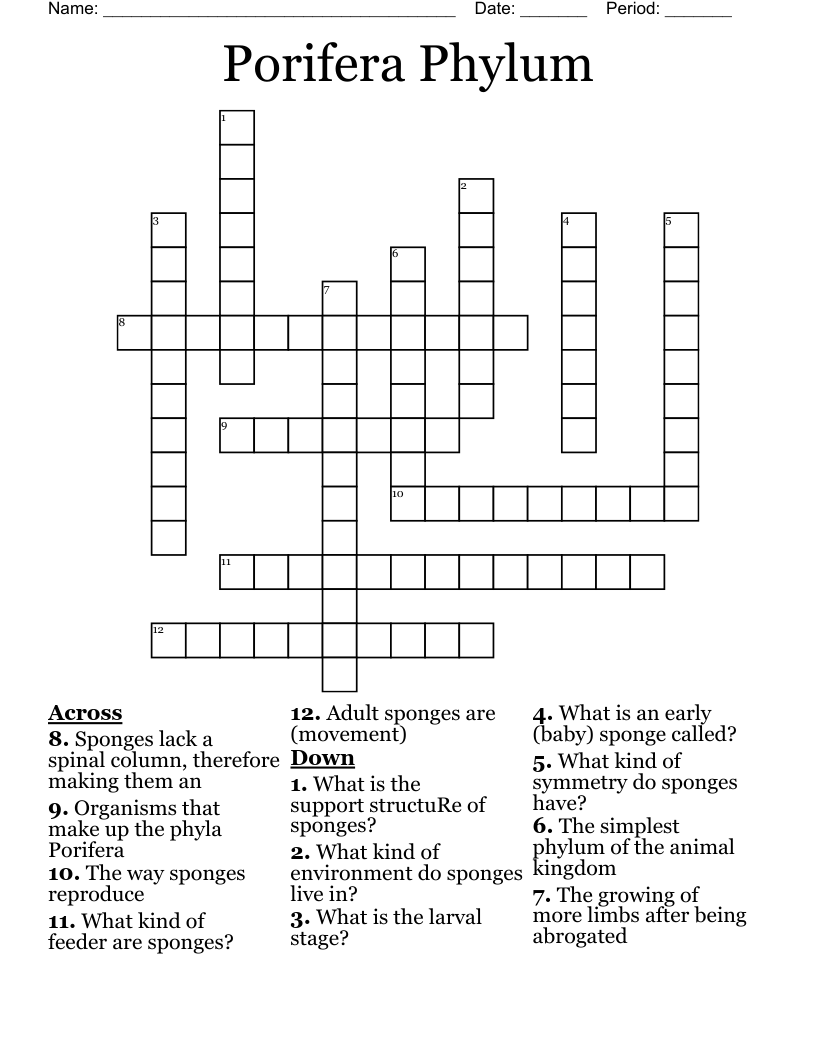 Porifera Phylum Crossword