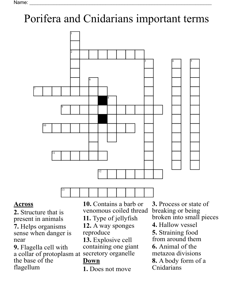 Porifera and Cnidarians important terms Crossword