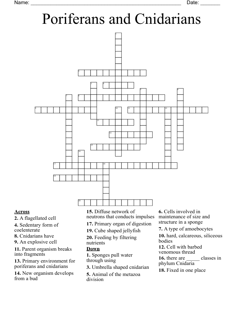 Poriferans and Cnidarians Crossword