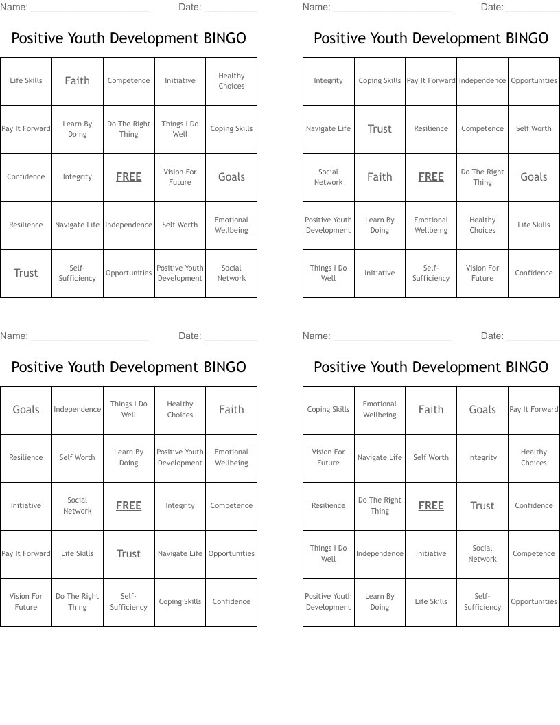 Positive Youth Development BINGO