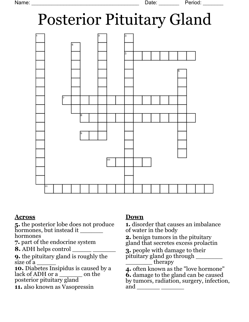 Posterior Pituitary Gland Crossword