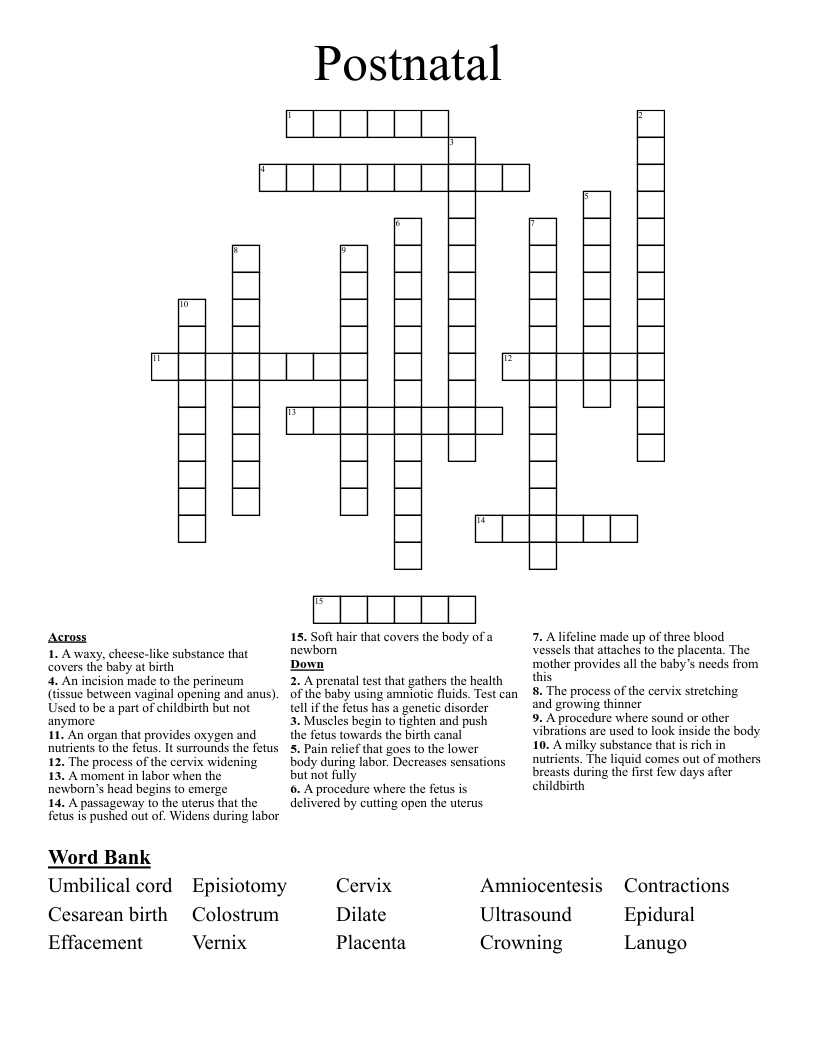 Postnatal Crossword