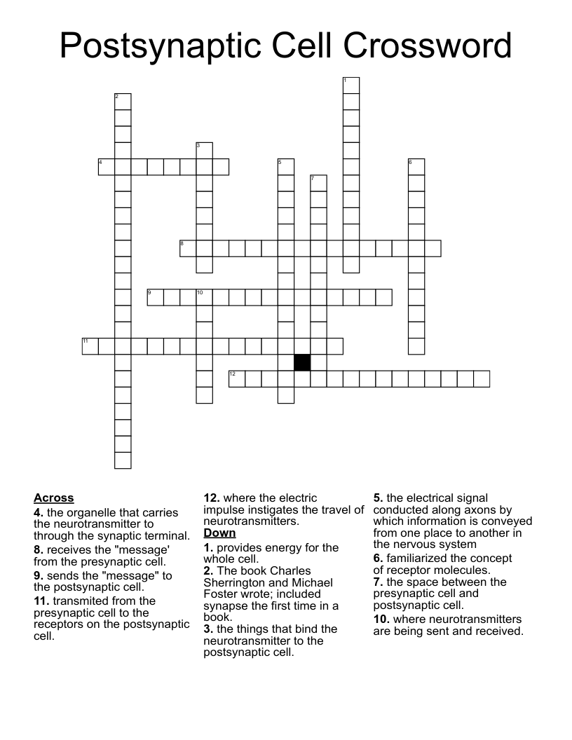 Postsynaptic Cell Crossword