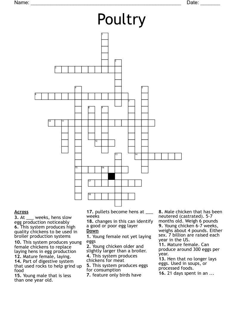 Poultry Crossword