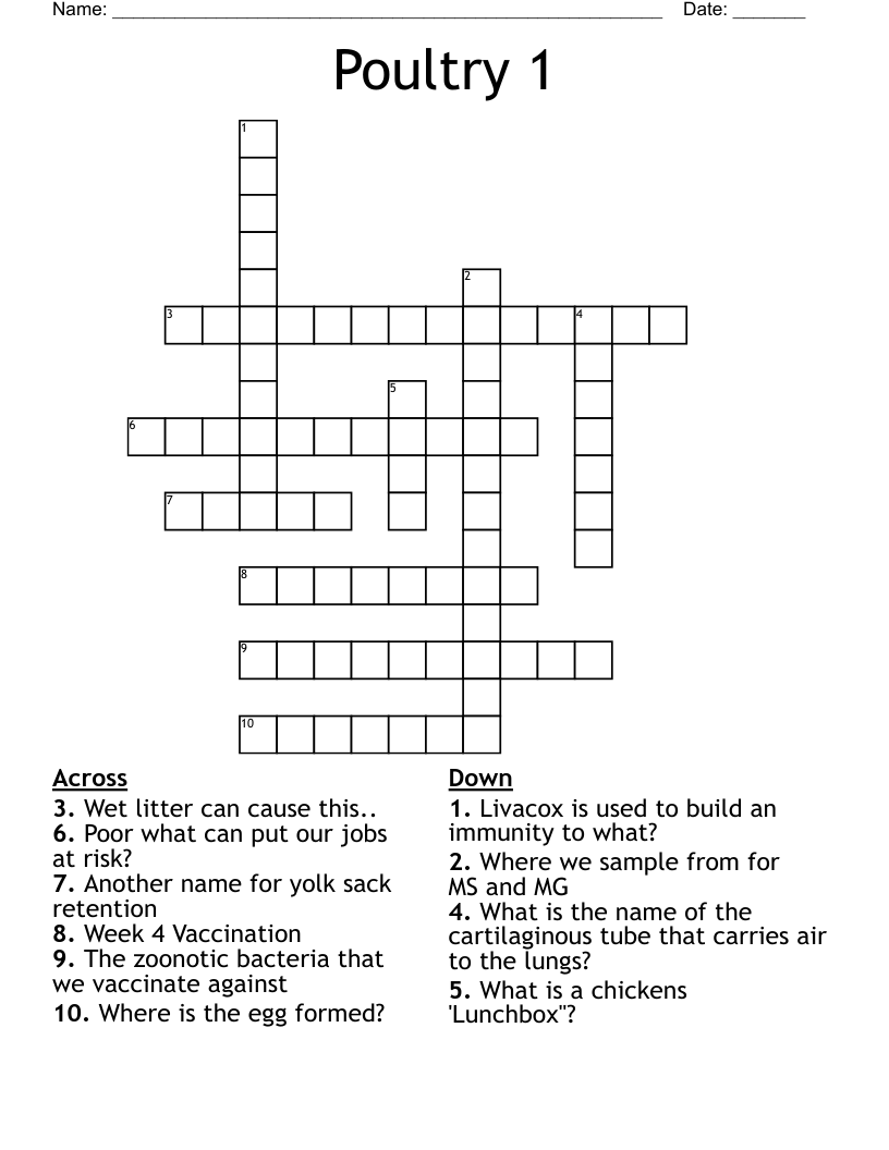 Poultry 1 Crossword