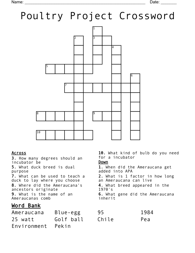 Poultry Project Crossword