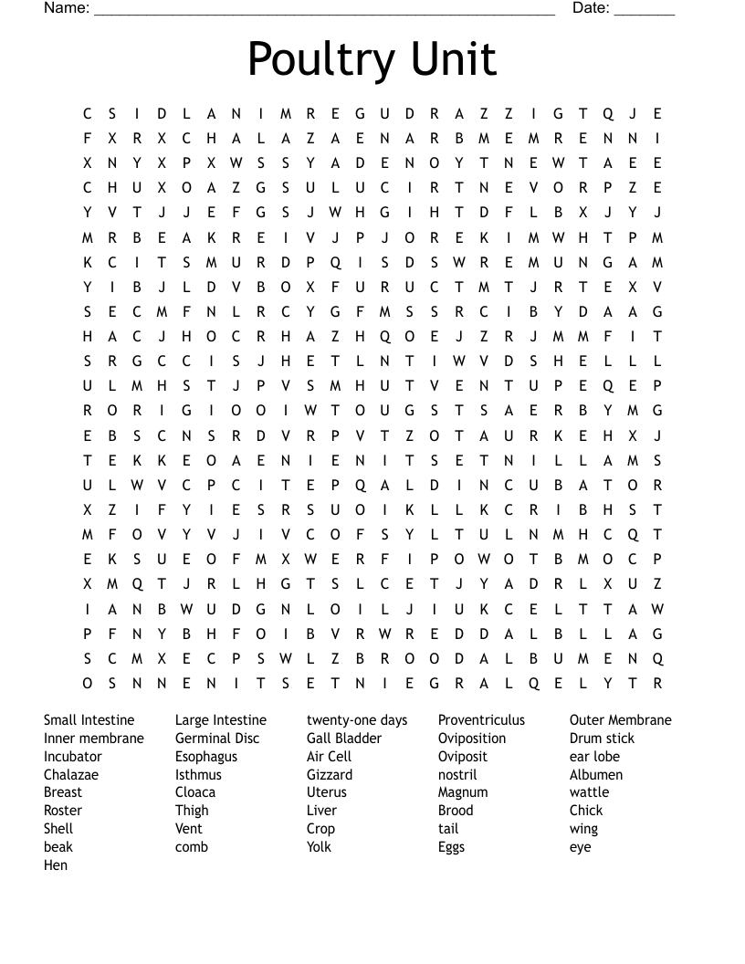 Poultry Unit Word Search