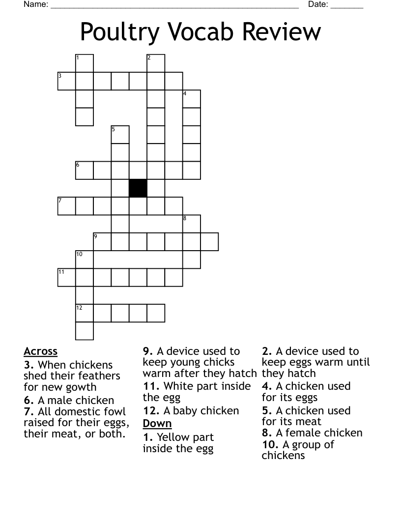 Poultry Vocab Review Crossword