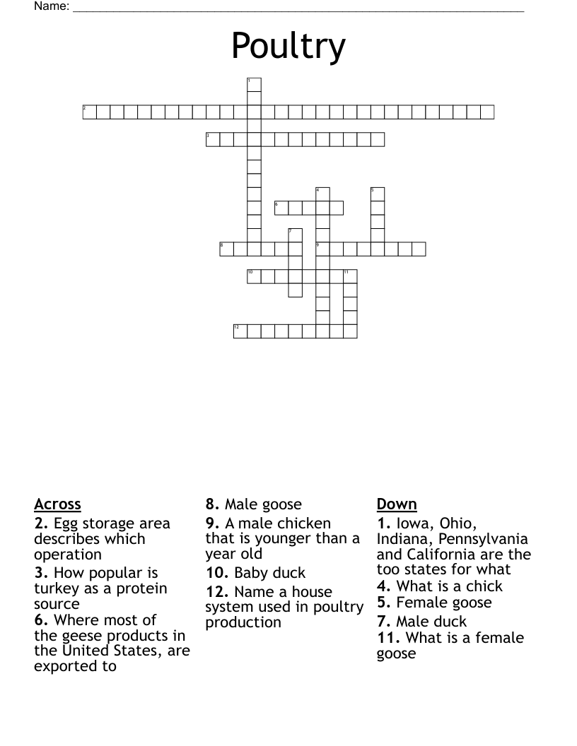 Poultry  Crossword