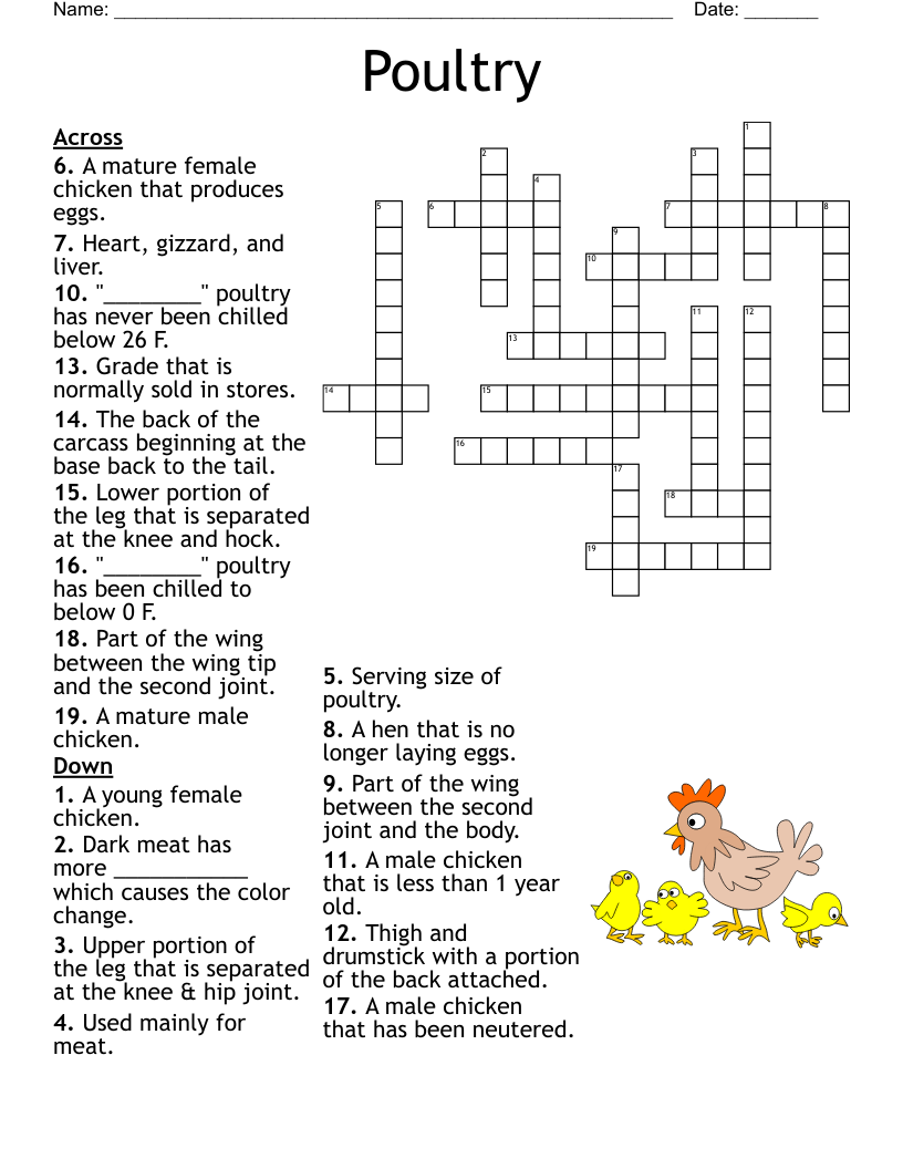 Poultry  Crossword